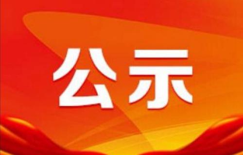 关于深圳市电子商会第五届负责人任职公示