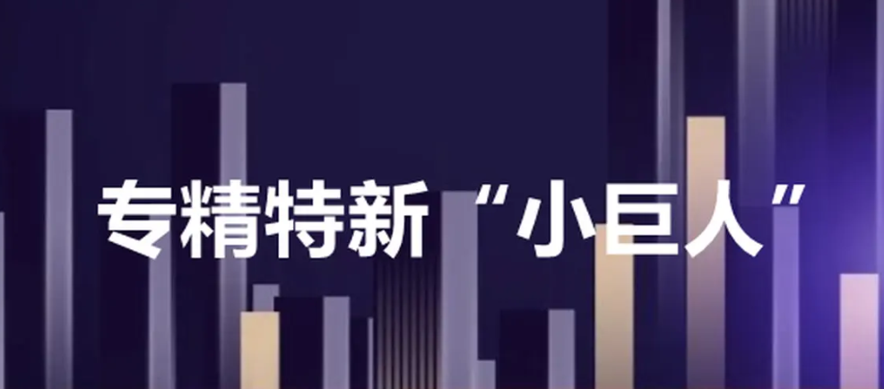 “小巨人”撑起“大创新”