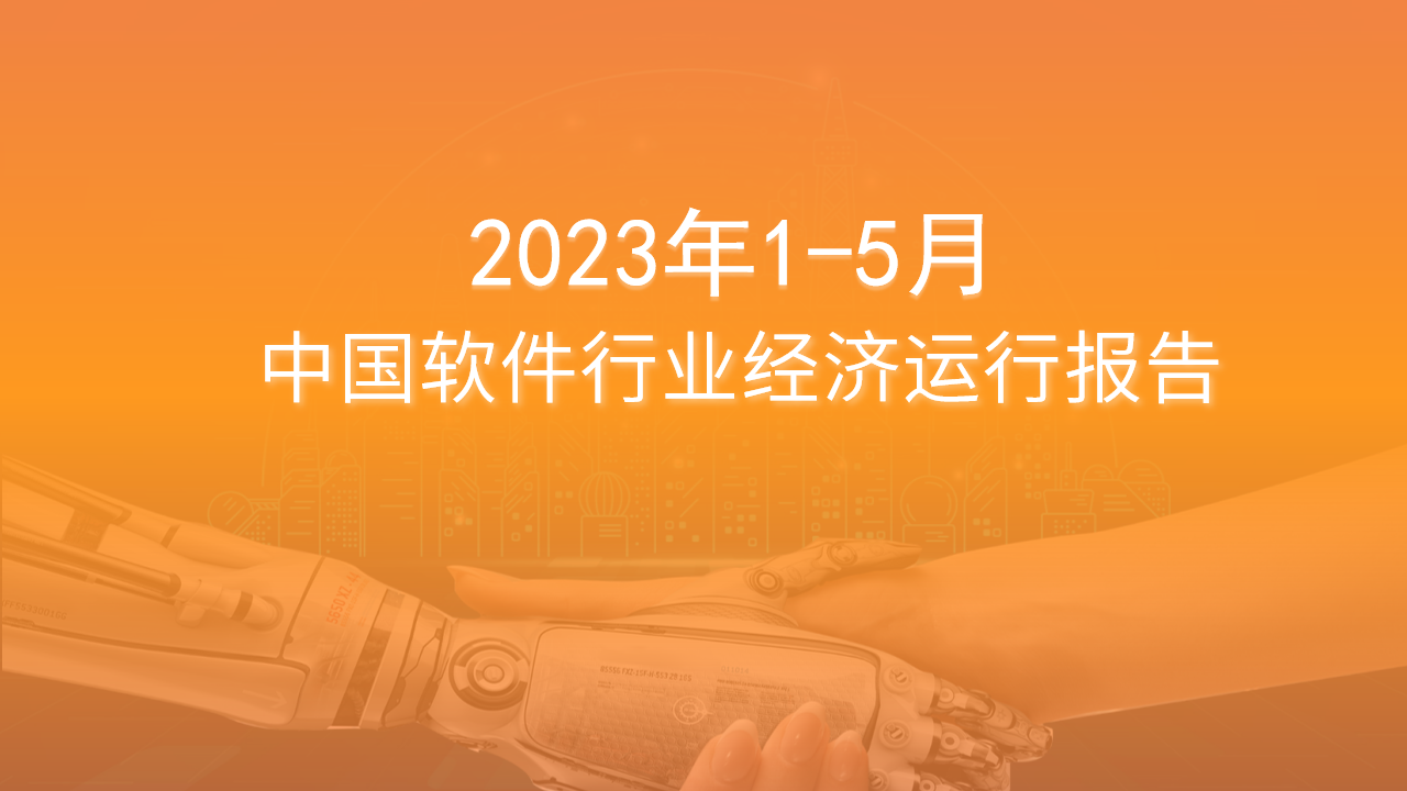 2023年5月中国软件行业经济运行报告（附全文）