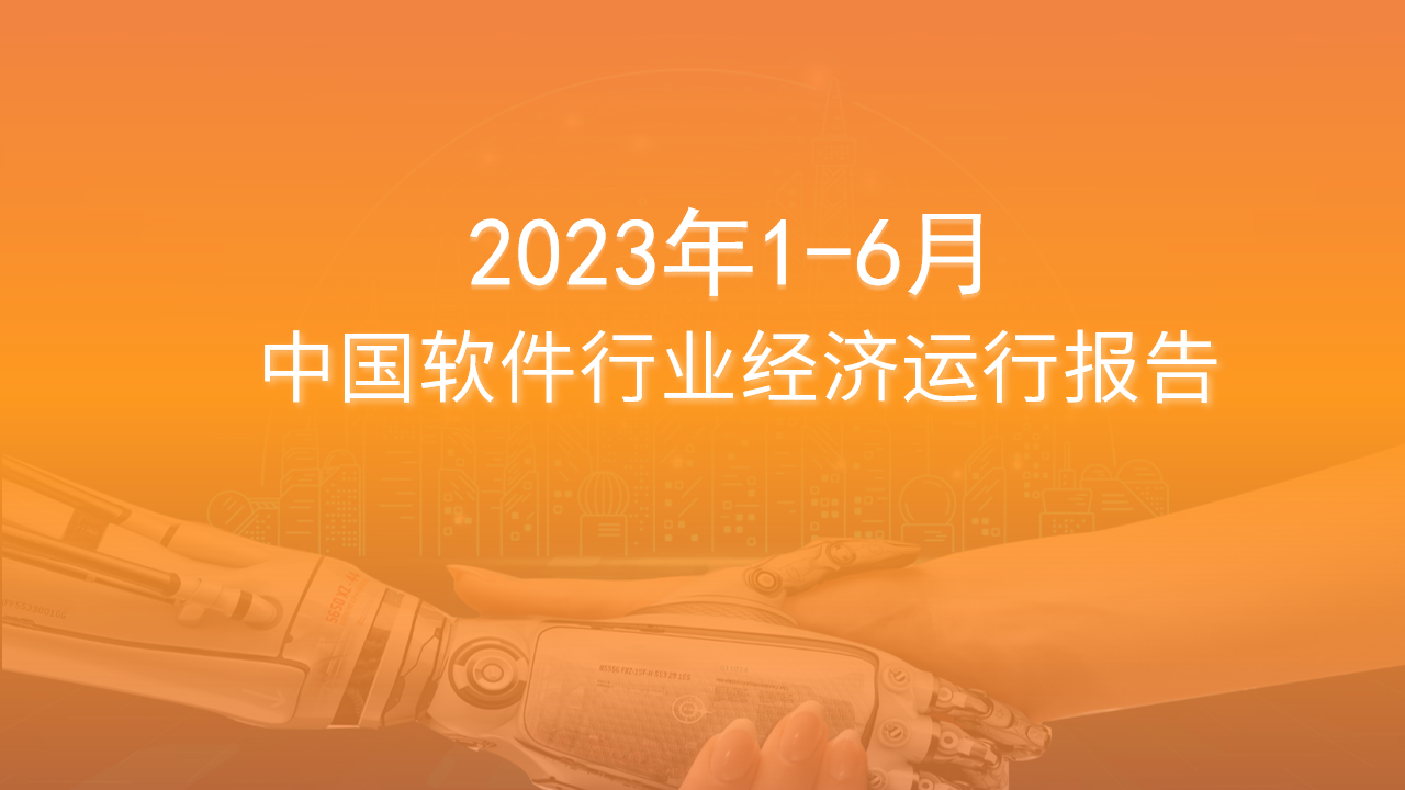 2023年6月中国软件行业经济运行报告（附全文）