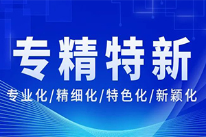 “一花不是春，百花春满园”——“专精特新”企业在电子商会绚烂绽放！