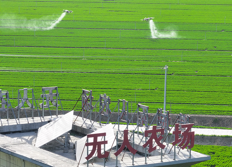 农业无人机在安徽省亳州市谯城区赵桥乡双楼村的无人农场进行自主作业（2024年3月19日摄，无人机照片）。新华社记者 杜宇 摄