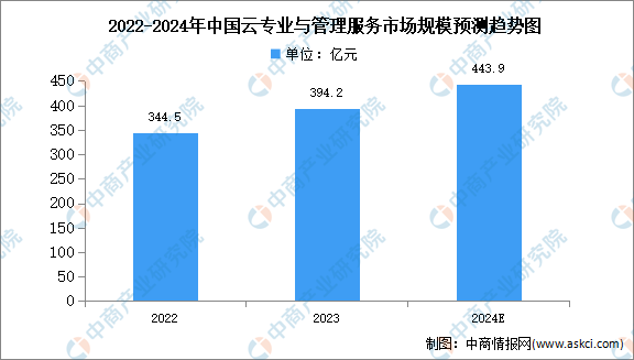 2024年中国云专业与管理服务市场规模及结构预测分析（图）